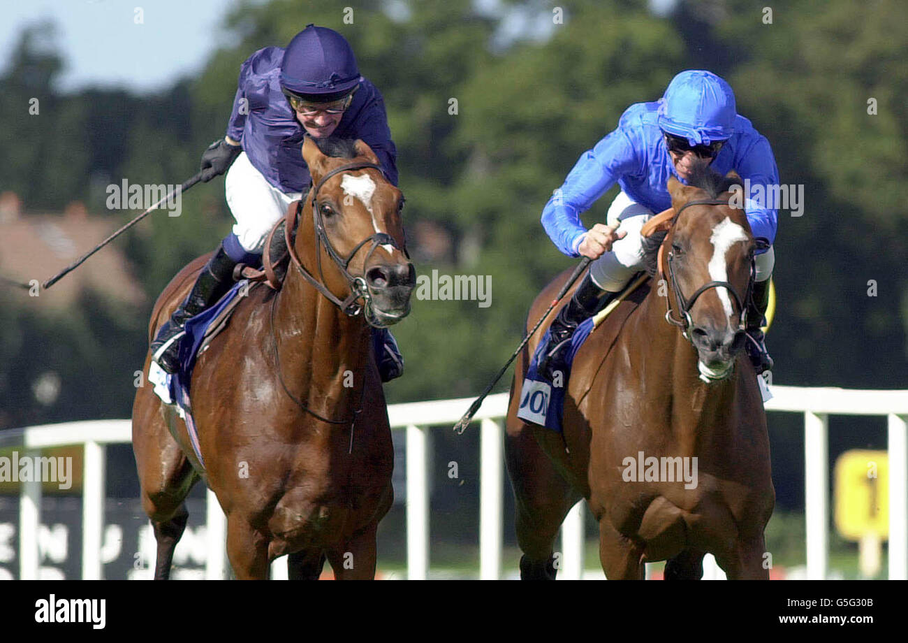 Frankie Dettori riding Fantastic Light (R) goes on to beat Galileo ridden by Mick Kinane to win the Ireland The Food Island Irish Champion Stakes at Leopardstown, in the Republic of Ireland. Stock Photo