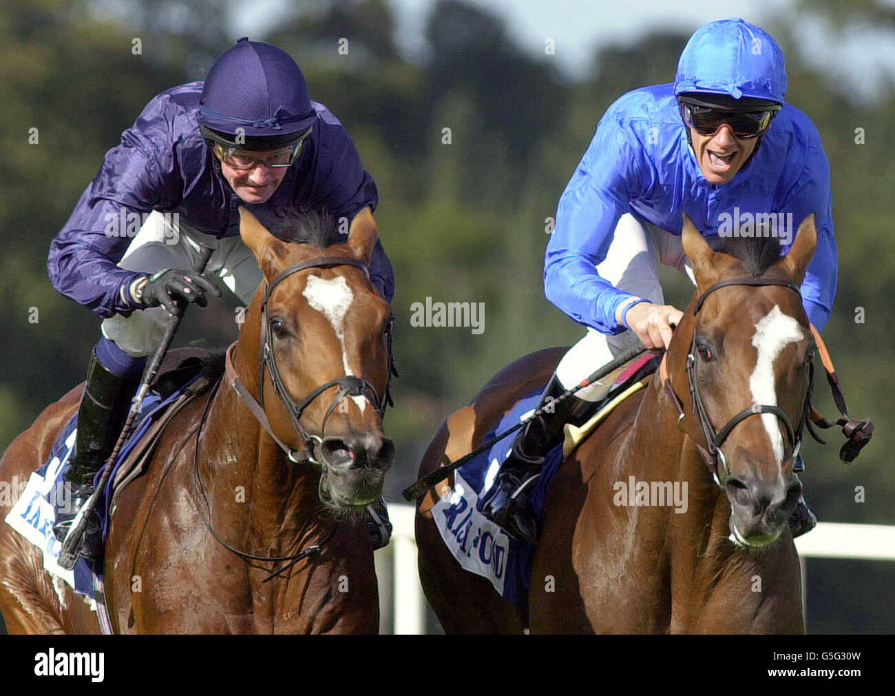 Frankie Dettori riding Fantastic Light (R) shouts for joy as they beat Galileo ridden by Mick Kinane to win the Ireland The Food Island Irish Champion Stakes at Leopardstown, in the Republic of Ireland. Stock Photo