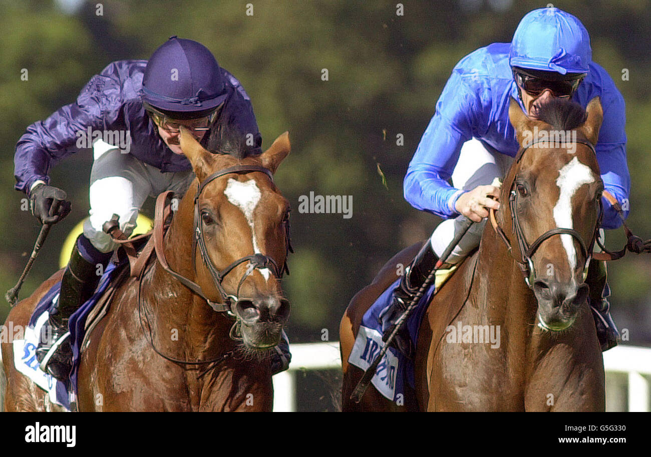 Fantastic Light ridden by Frankie Dettori (right) finishes ahead of Galileo ridden by Mick Kinane to win the Ireland The Food Island Irish Champion Stakes at Leopardstown, in the Republic of Ireland. *07/11/01 Godolphin have announced that Fantastic Light will miss the Japan Cup and is to be retired to Sheikh Mohammed s Dalham Hall Stud in Newmarket. Stock Photo
