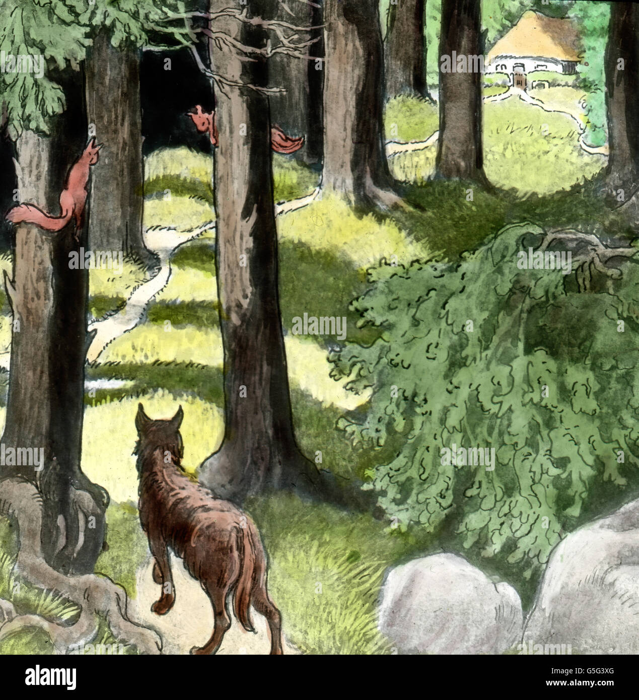 Rotkäppchen und der böse Wolf. Little Red Riding Hood. history, historical,  1910s, 1920s, 20th century, archive, Carl Simon, hand coloured glass slide,  fairy tale, Grimm Brothers, legend, myth, wood, forest, wolf, animal,