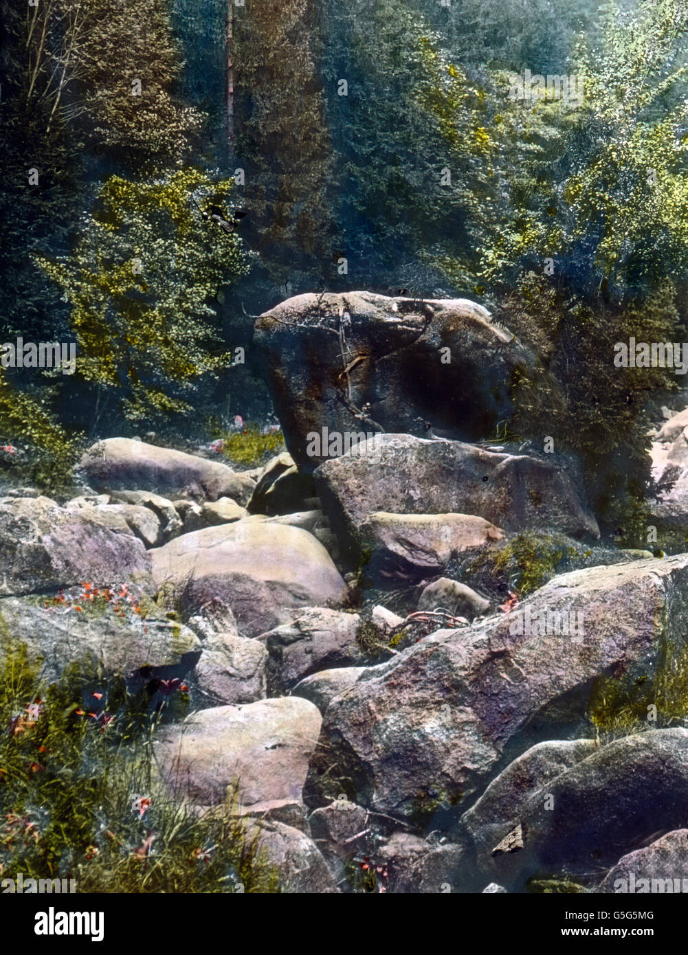 Der Felsen 'der Frosch' im Okertal. A rock shaped like a frog at the Oker valley in the Harz region. Europe, Germany, landscape, mountain range, history, historical, 1910s, 1920s, 20th century, archive, Carl Simon, rock, formed, shape, frog, landmark, nature, landscape, stone, hand coloured glass slide Stock Photo