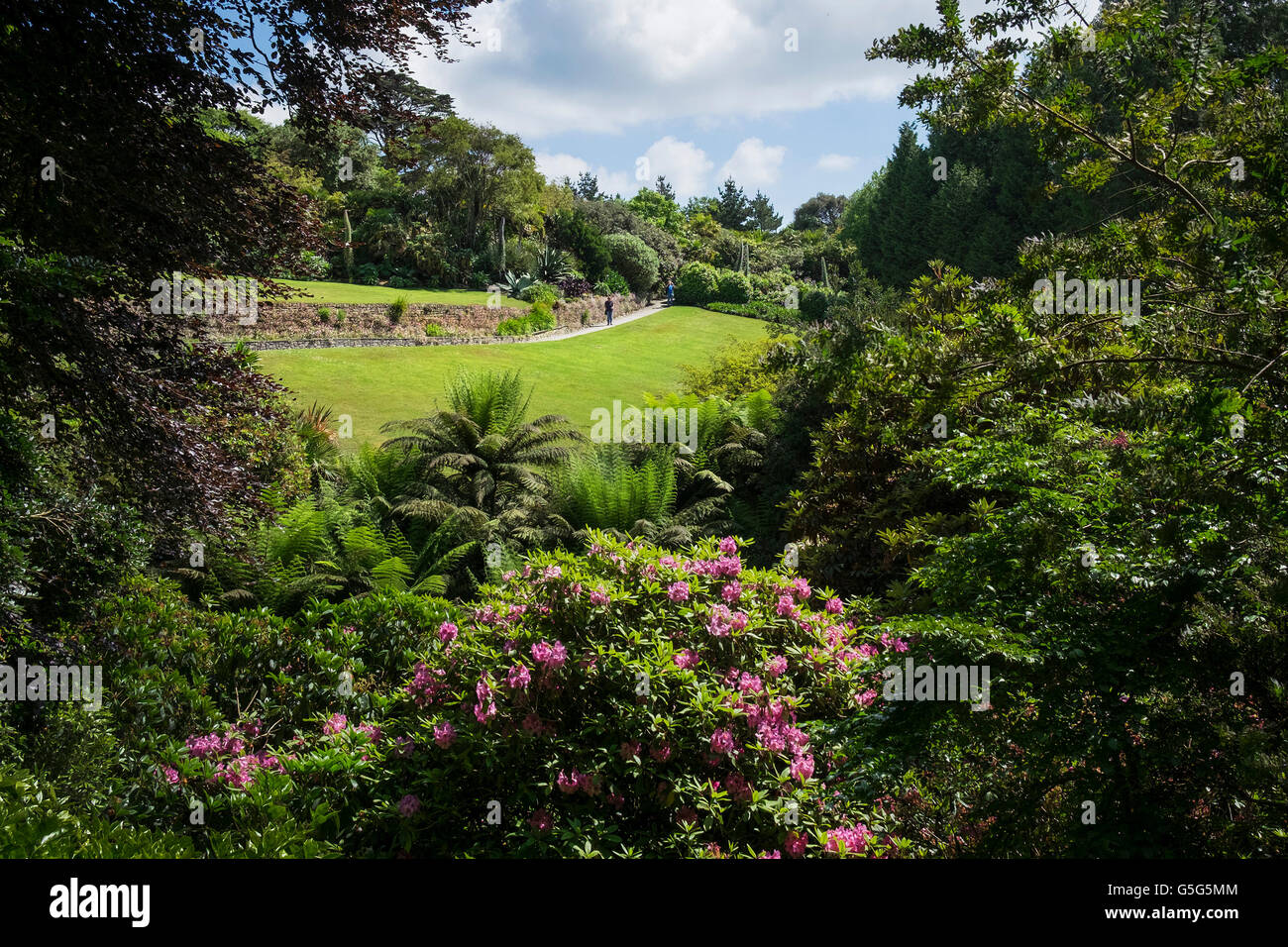 Trebah Gardens in Cornwall. Stock Photo