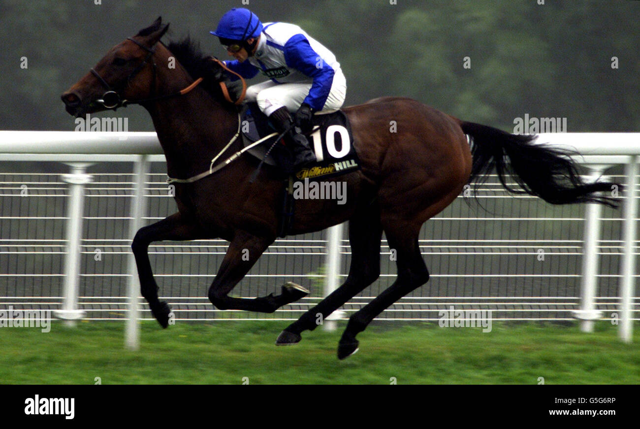Racing Kevin Darley Stock Photo - Alamy