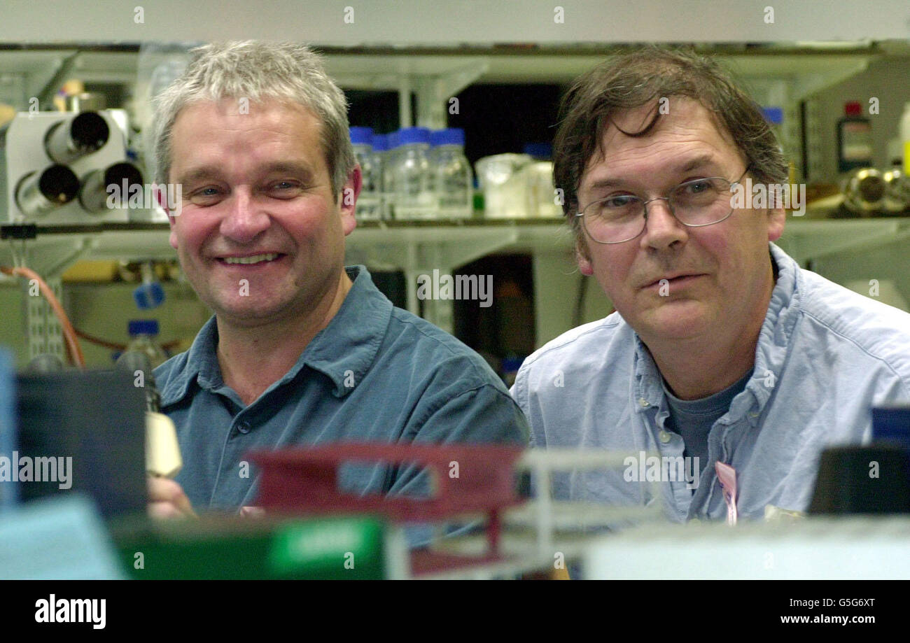 British Scientists Sir Paul Nurse (L) Director General of Imperial Cancer Research Fund and Dr Tim Hunt, Head of Cell Cycle Control at Imperial Cancer. The two along with fellow Scientist, American Dr Leland Hartwell, have won the 100th Nobel Prize for Medicine. * The trio won the award for their work on regulators of the cell cycle - the system that controls how cells reproduce and divide. Their discoveries have been crucial to the understanding of cancer and the development of new anti-cancer drugs. Stock Photo