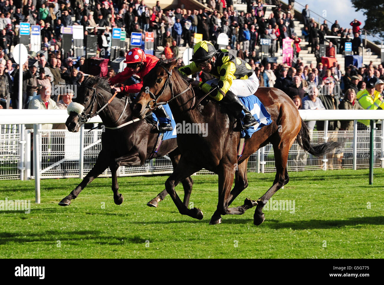 Horse Racing - Countryside Raceday - York Racecourse Stock Photo - Alamy