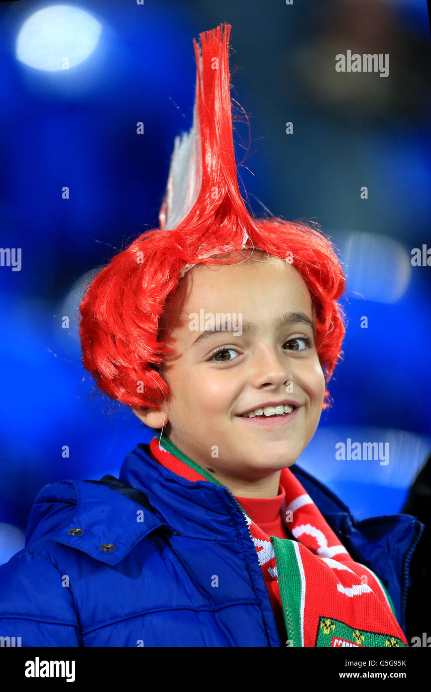 Soccer - World Cup 2014 Qualifying - Group A - Wales v Scotland - Cardiff City Stadium Stock Photo