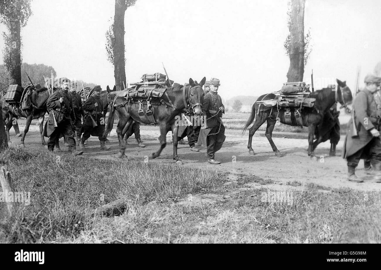 World War One - French Army - Belgium Stock Photo