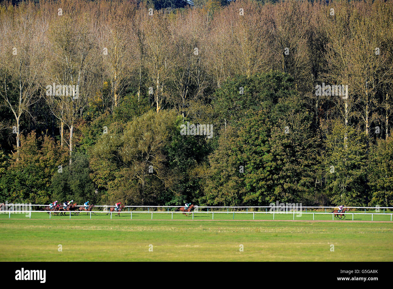 Horse Racing Towcester Races Stock Photo Alamy