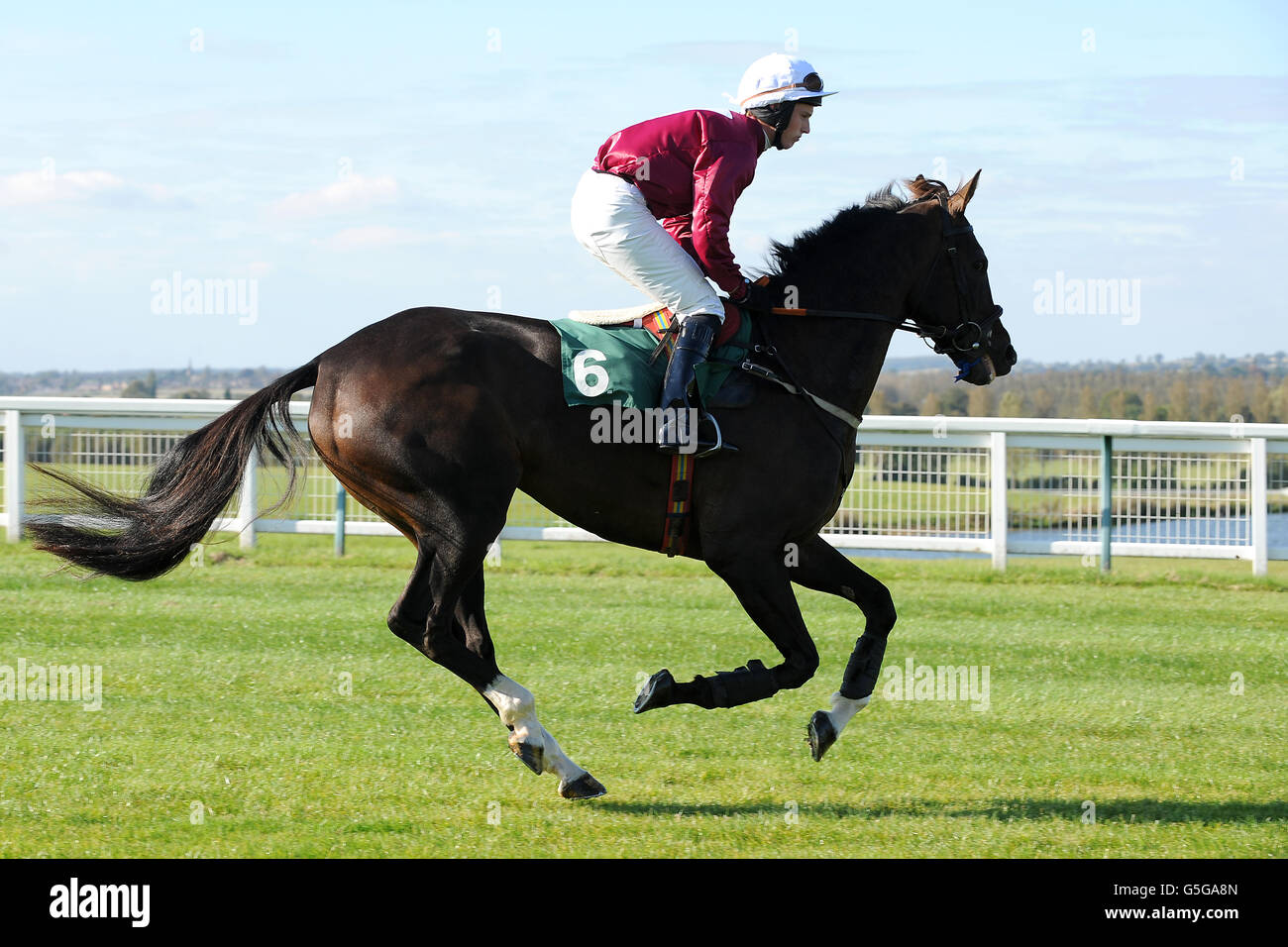 Horse Racing Towcester Races Stock Photo Alamy