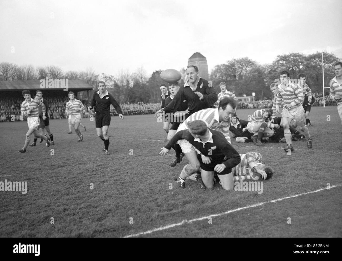 Rugby Union - New Zealand All Blacks Tour of Great Britain - Cambridge ...