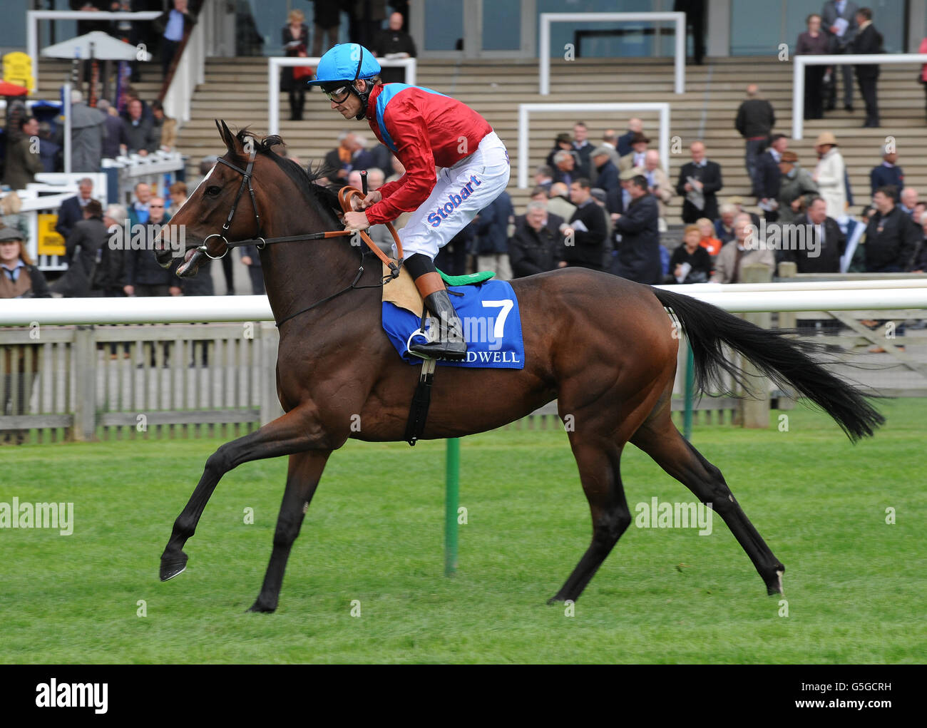 Horse Racing - The Cambridgeshire Meeting - Shadwell Day - Newmarket Racecourse. Dank ridden by Richard Hughes in the Mawatheeq Rosemary Stakes (Fillies' Listed) Stock Photo