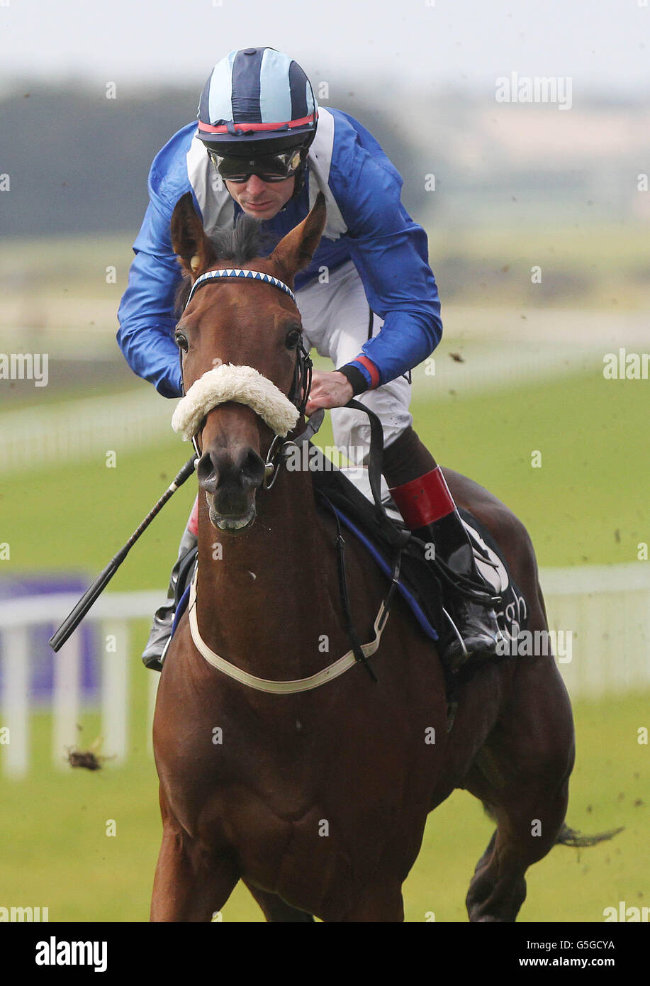 Salhooda ridden by Pat Smullen wins The Kevin Cullen Lifetime Achievement In Racing European Breeders Fund Fillies Maiden during Juddmonte Beresford Stakes/Irish Pony Club Day at Curragh Racecourse, Curragh. Stock Photo