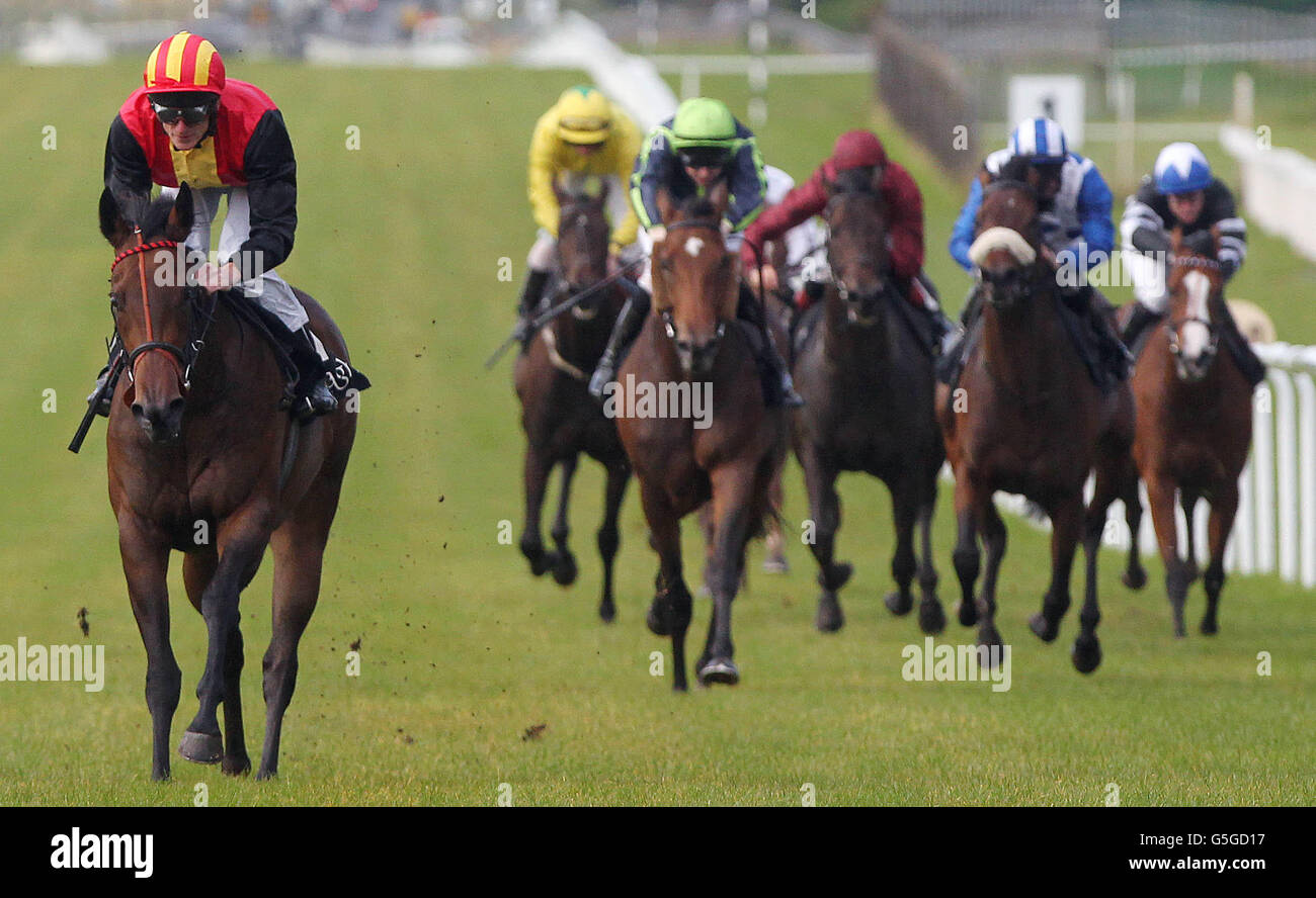 Horse Racing - Juddmonte Beresford Stakes/Irish Pony Club Day - Curragh Racecourse Stock Photo