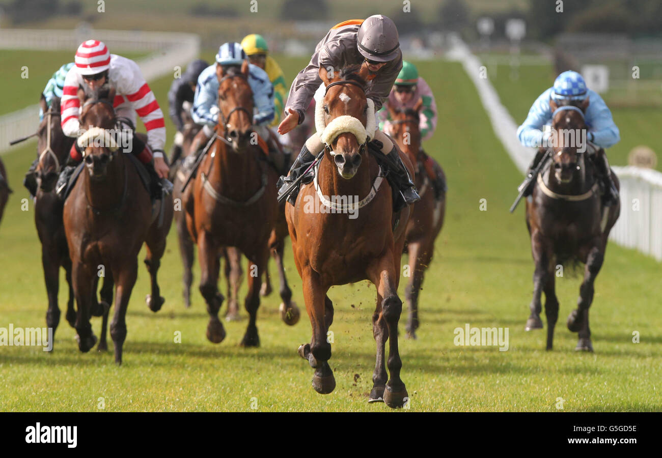 Bubbly Bellini ridden by Ian Brennan wins the The Irish Stallion Farms Joe McGrath European Breeders Fund Handicap during Juddmonte Beresford Stakes/Irish Pony Club Day at Curragh Racecourse, Curragh. Stock Photo