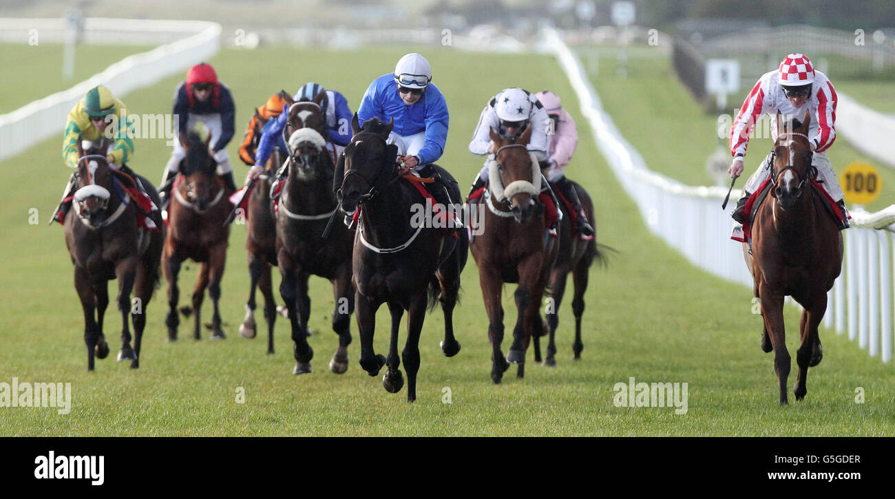 Fromajacktoaking ridden by Ronan Whelan (centre) wins The Irish Field Nursery Handicap during Juddmonte Beresford Stakes/Irish Pony Club Day at Curragh Racecourse, Curragh. Stock Photo