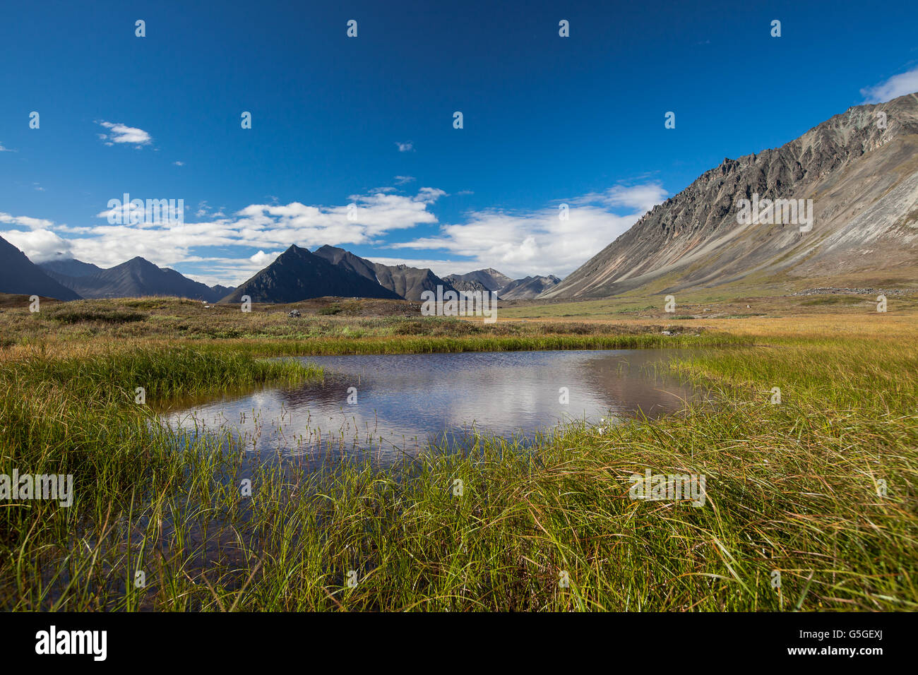 Serenity lake in tundra on Chukotka, Russia Stock Photo