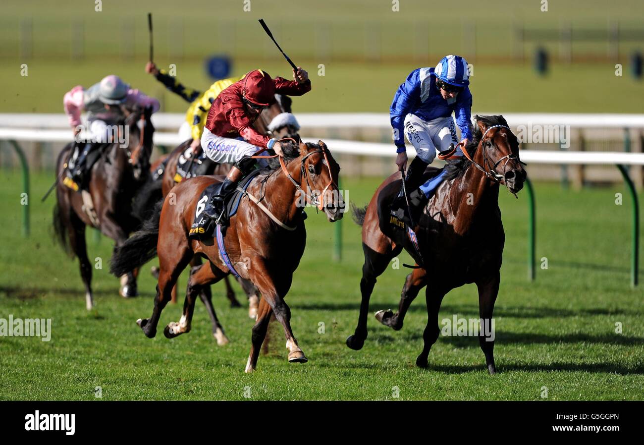 Horse Racing October Day Newmarket Racecourse Stock Photo Alamy