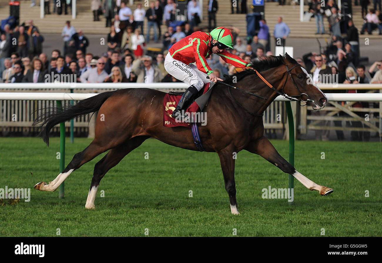 Horse Racing October Day Newmarket Racecourse Stock Photo Alamy