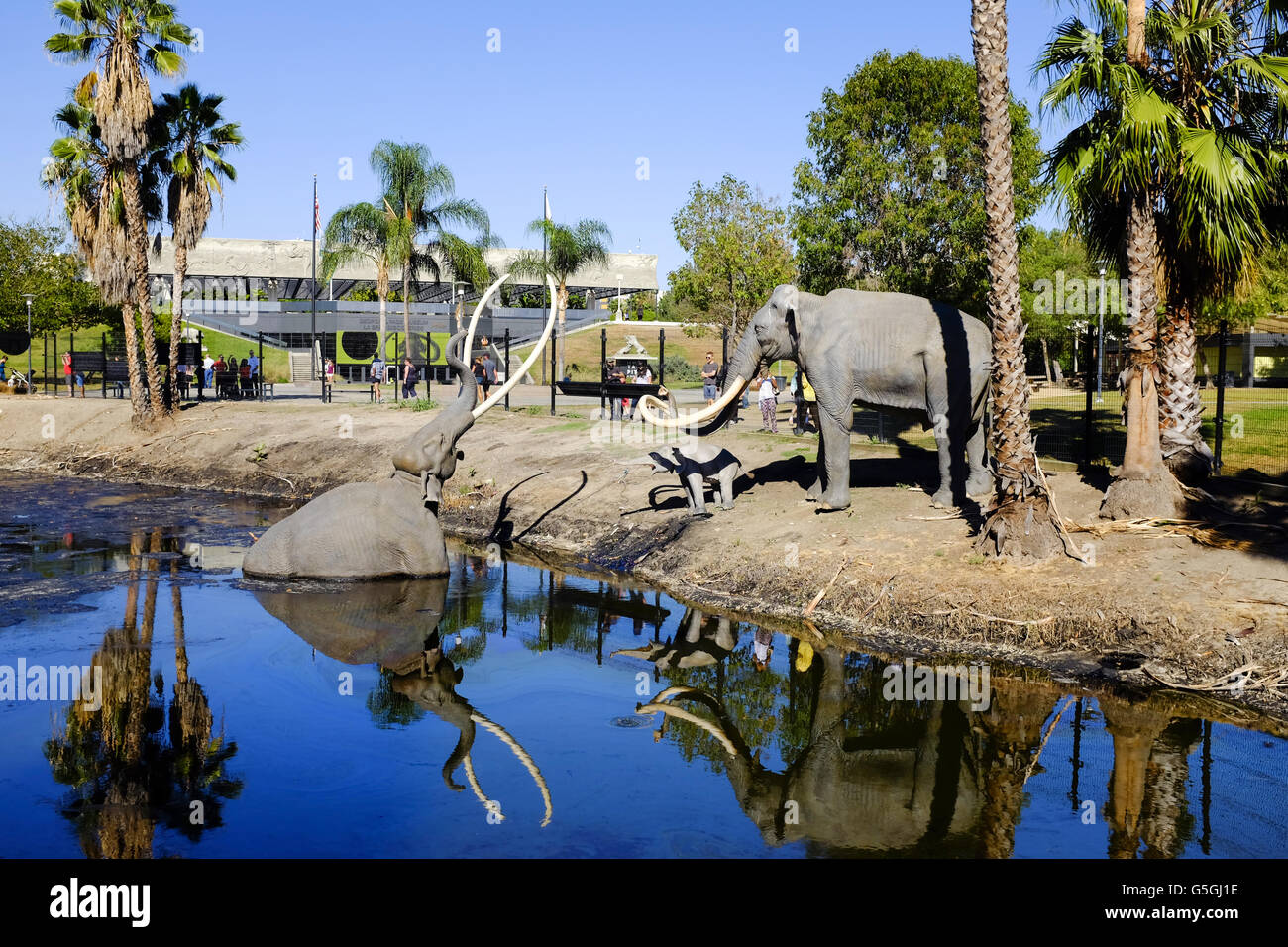 La Brea Tar Pit Los Angeles Mammoth ancient age history. Stock Photo