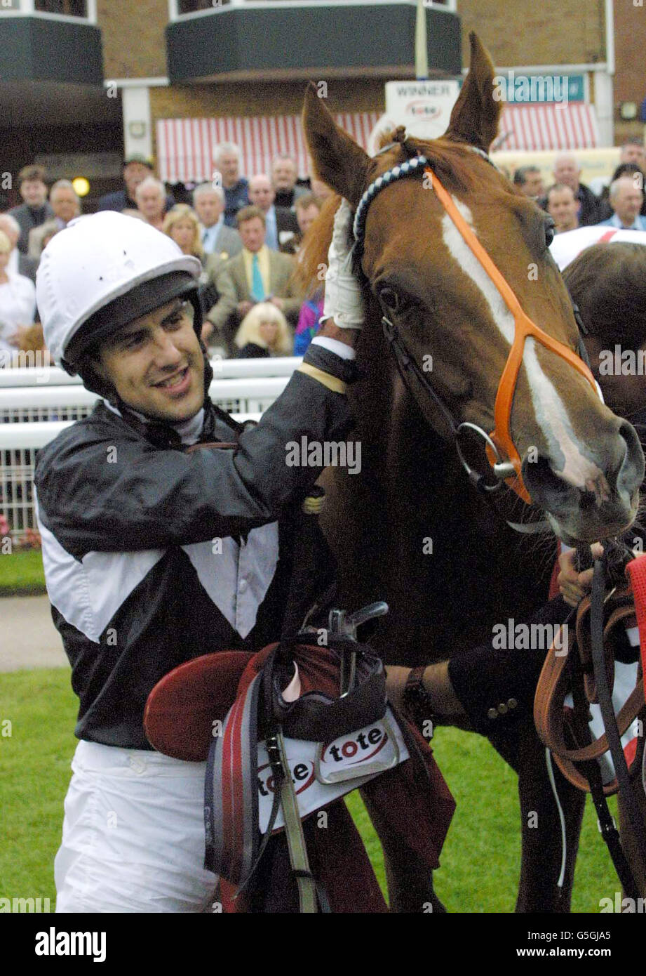 Ayr racing Continent. Winning jockey Darryl Holland in the winner's enclosure with Continent after winning the Ayr Gold Cup at Ayr. Stock Photo