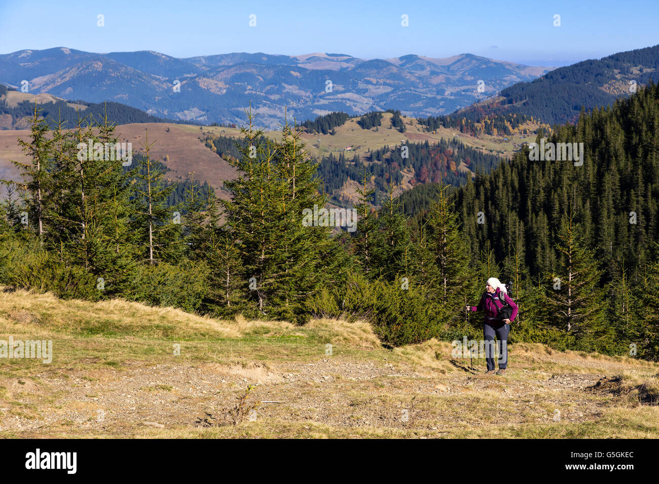 Female Hiker Walking on Pathway in Autumnal Forest Stock Photo - Alamy