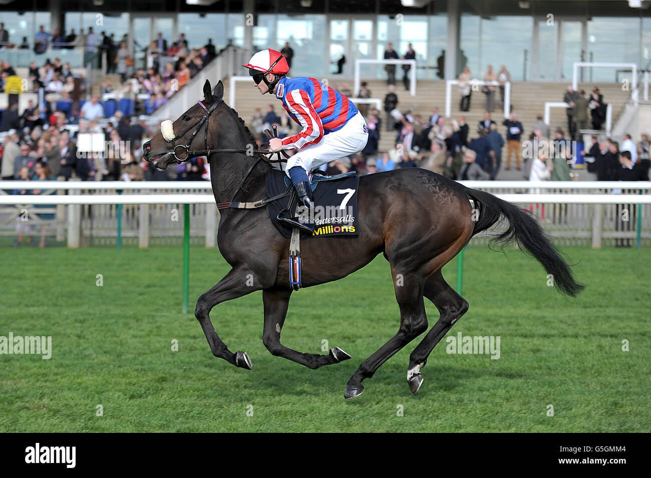 Elle Woods ridden by Denis Sweeney going to post for the 300,000 Tattersalls Millions 2yo Fillies' Trophy Stock Photo