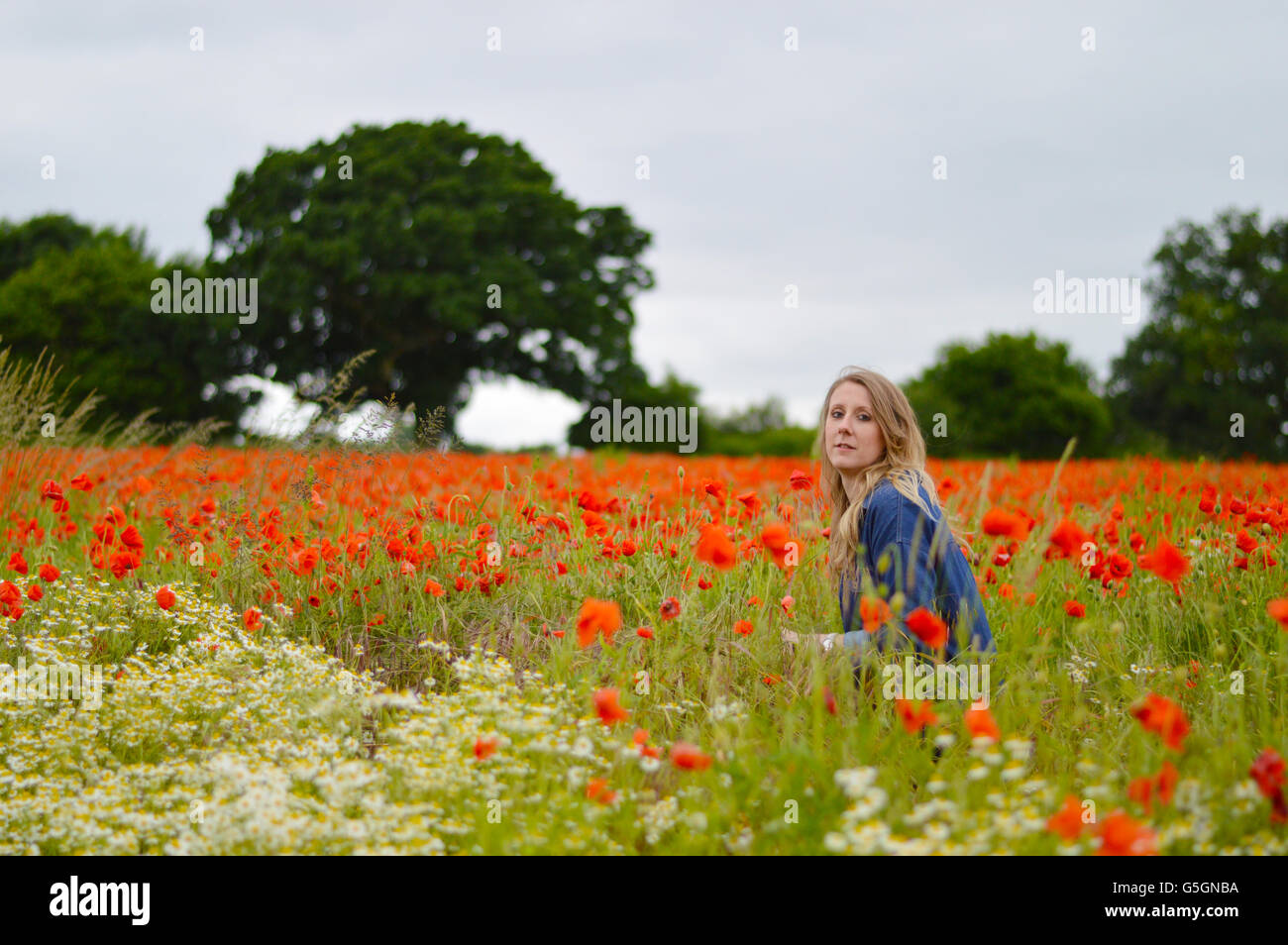 Woman in poppy field hi-res stock photography and images - Alamy