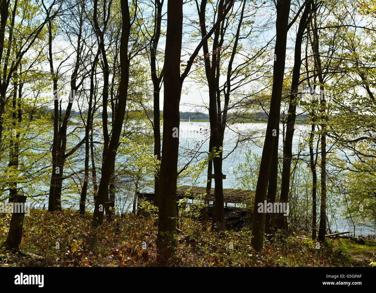 Large freshwater lake hires stock photography and images Alamy