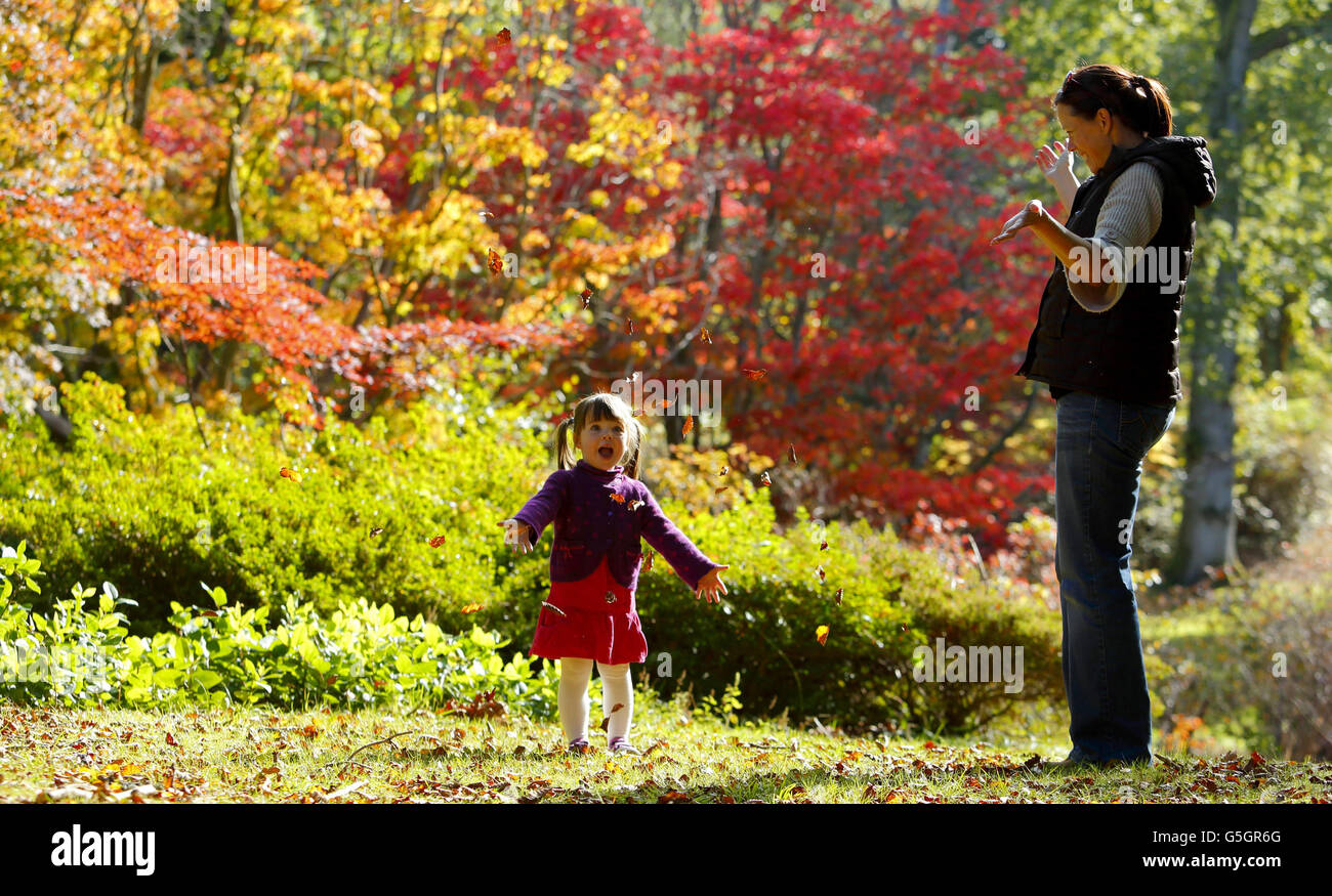 Autumn weather - Oct 16th Stock Photo - Alamy