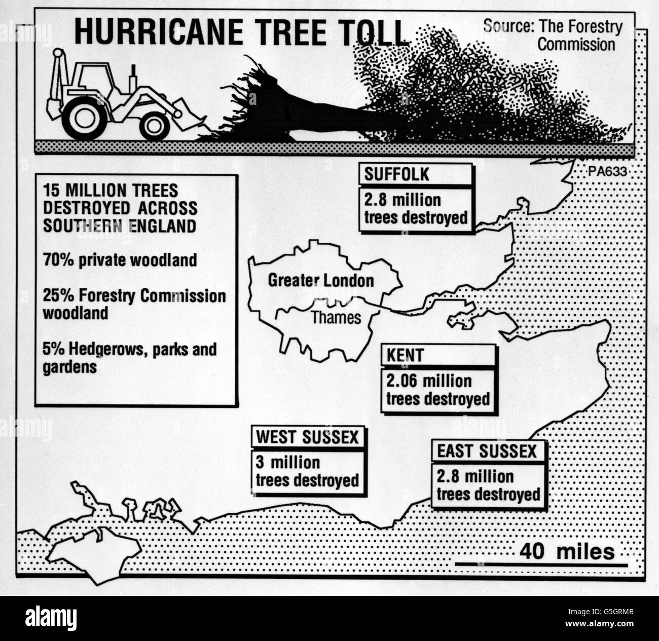 Weather - 1987 Hurricane - Damaged Trees Stock Photo