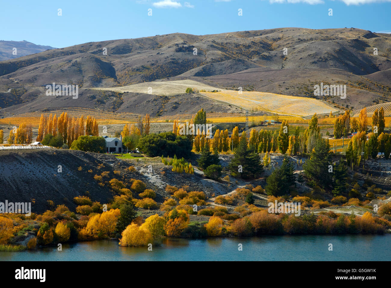 Carrick Winery and autumn colours, Bannockburn Inlet, Lake Dunstan, Central Otago, South Island, New Zealand Stock Photo