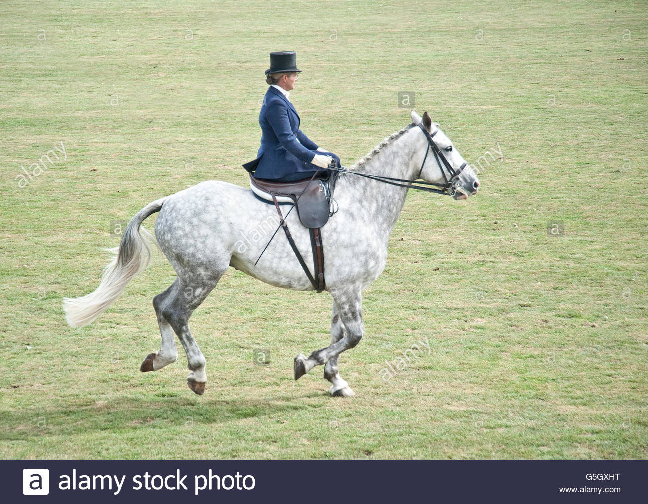 Side Saddle Stock Photos & Side Saddle Stock Images Alamy