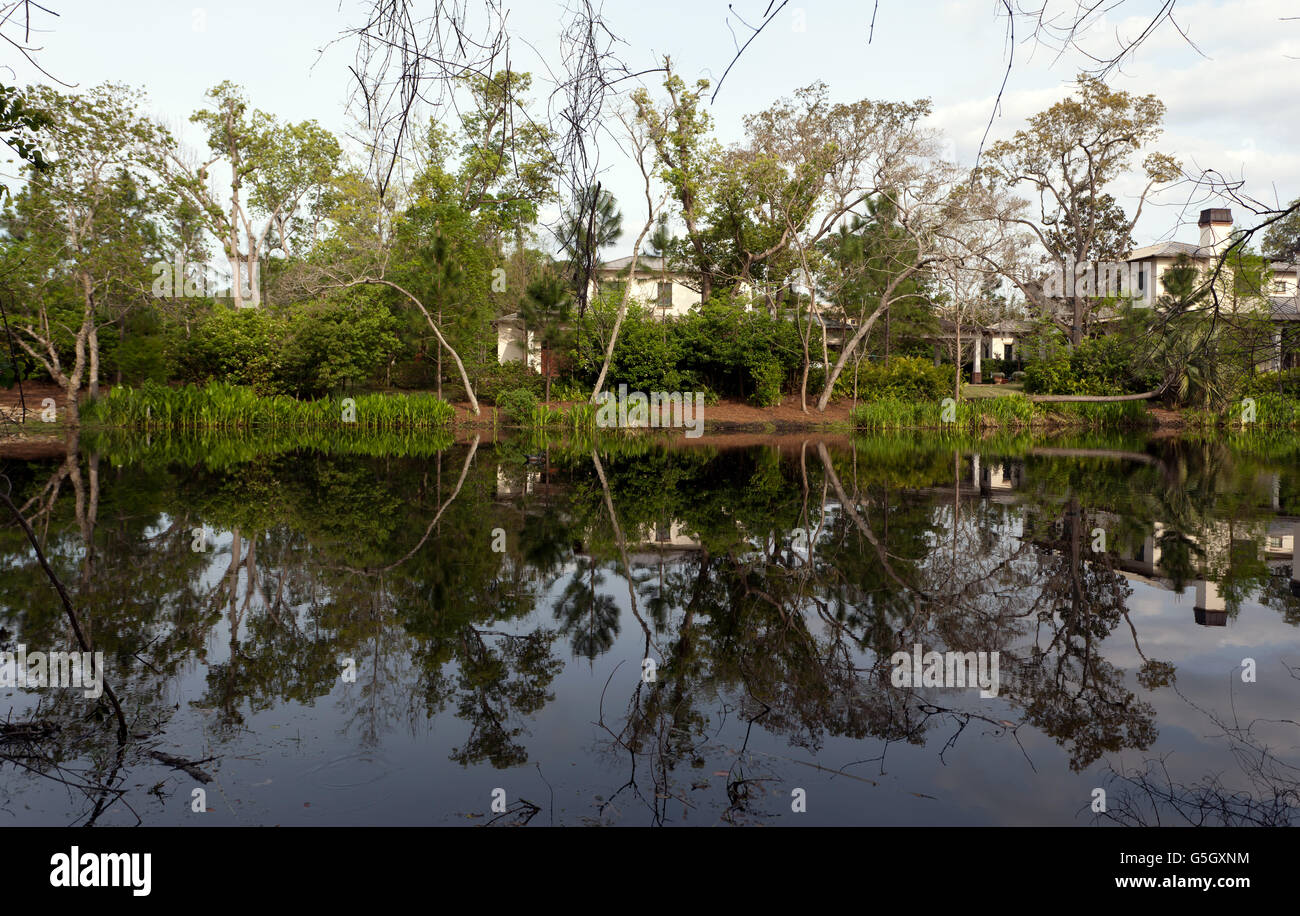 Lakeside property looking onto a beautiful inlet of Lake Butler