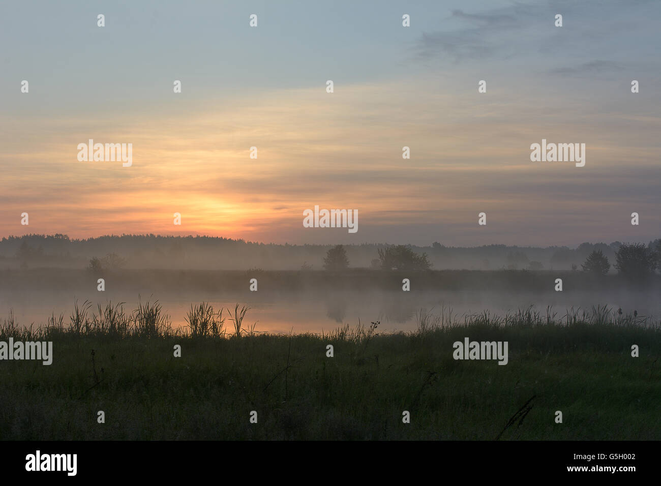 Sunrise over the meadow lake Stock Photo