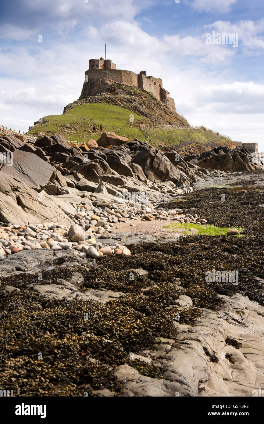 UK, England Northumberland, Holy Island, Lindisfarne Castle from the shore Stock Photo