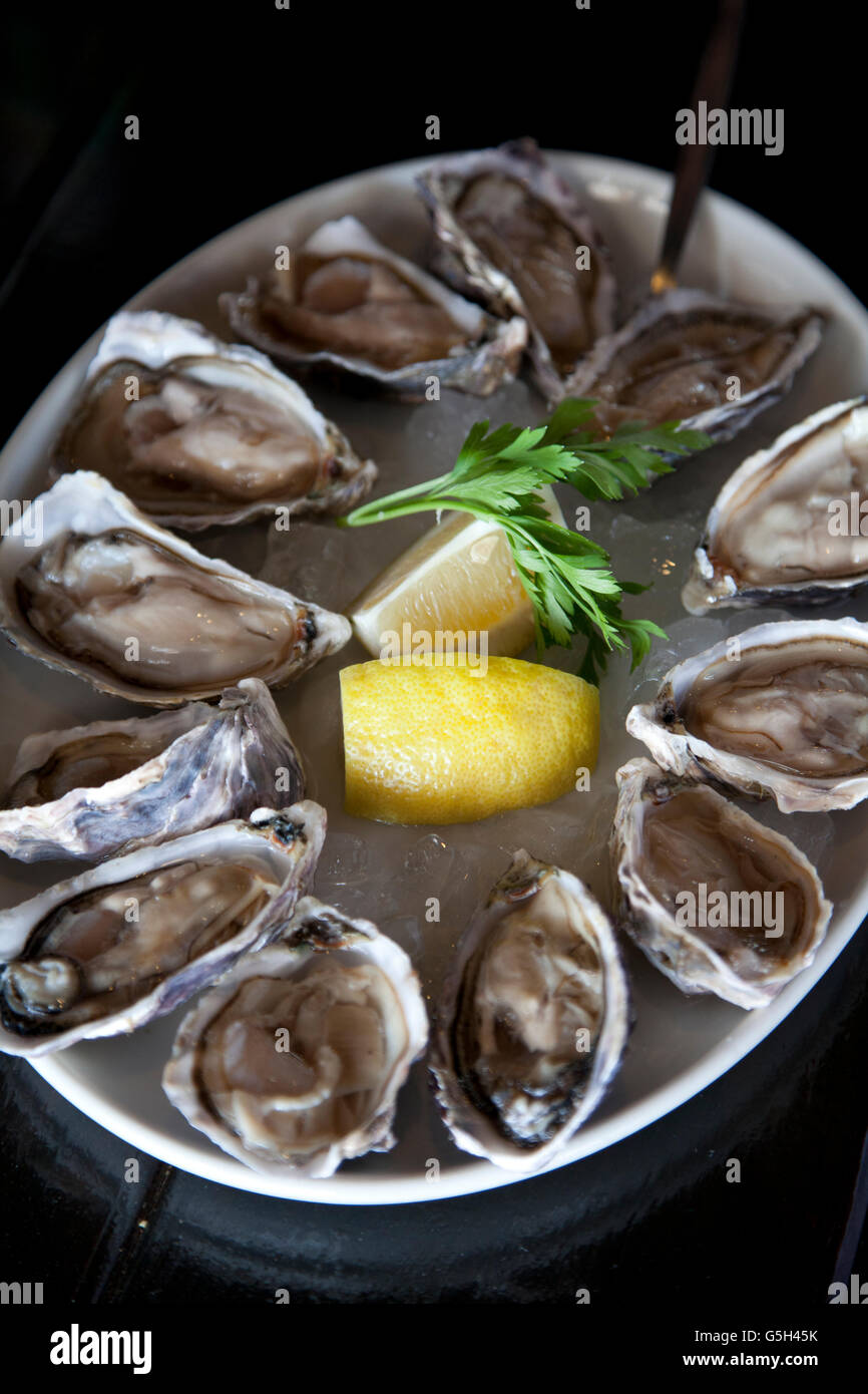 Fresh Walvis Bay Oysters in Namibia Stock Photo Alamy