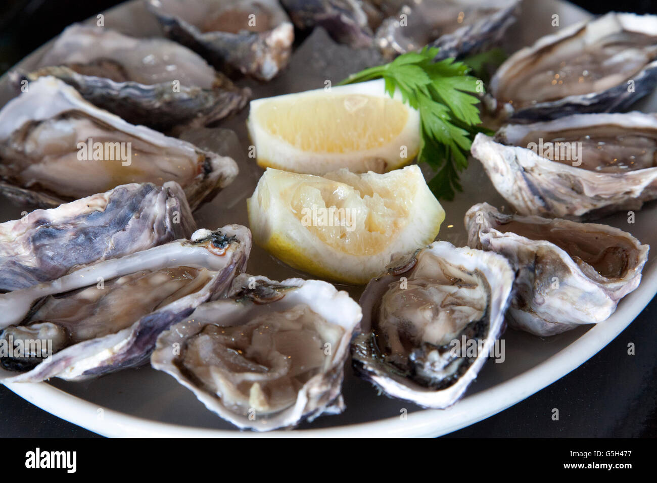 Fresh Walvis Bay Oysters in Namibia Stock Photo Alamy