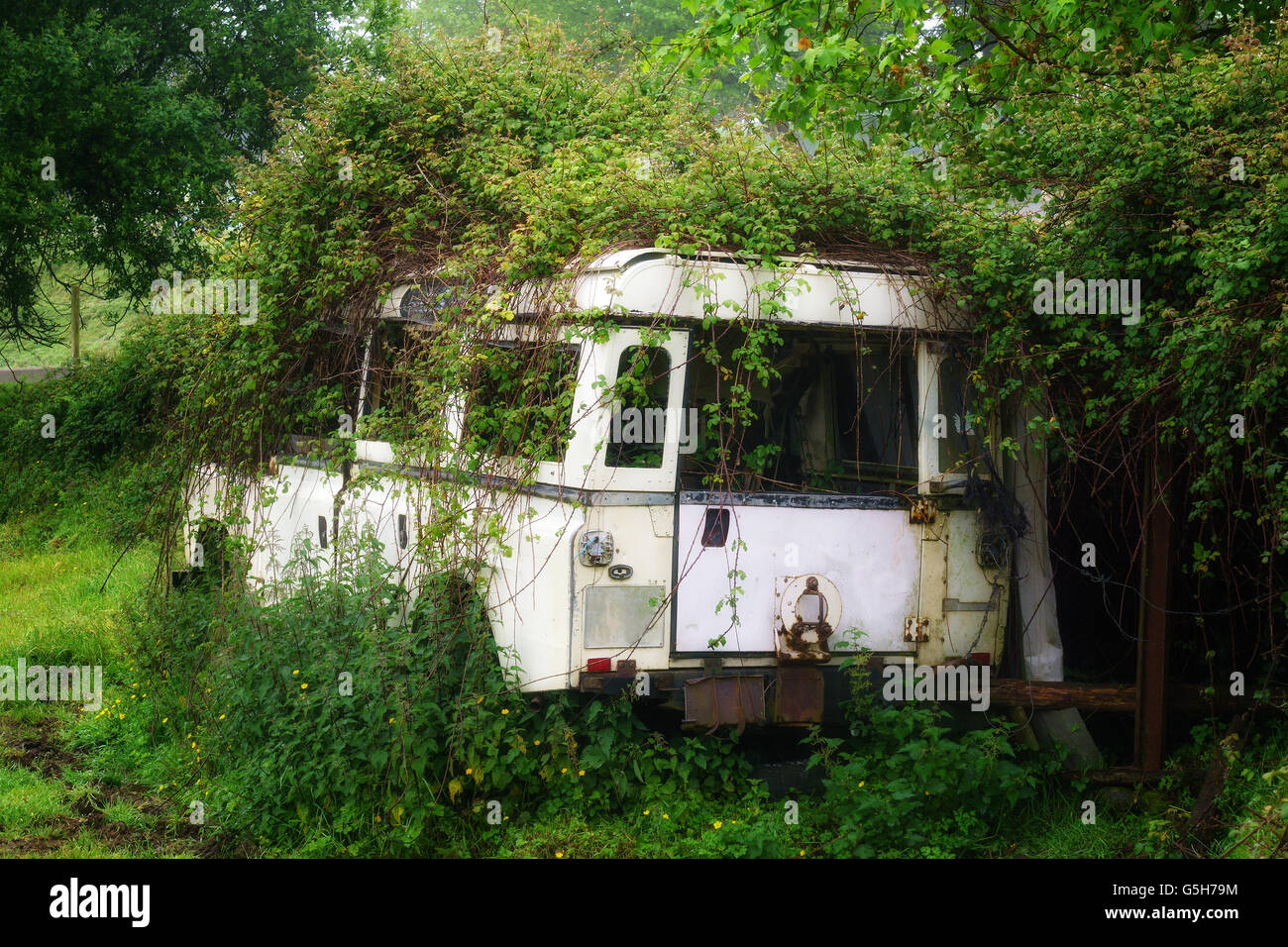Abandoned car hi-res stock photography and images - Alamy