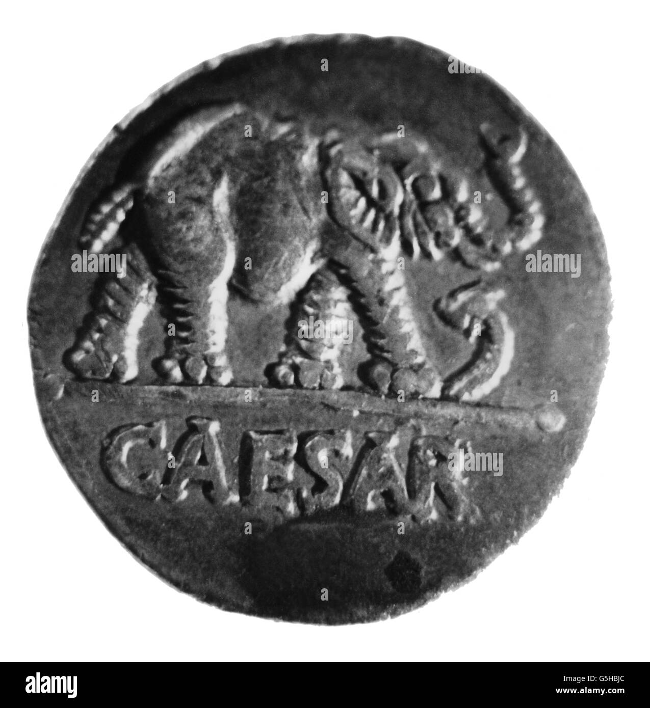 money / finances, coins, ancient world, Rome, Roman Denar, by Julius Caesar, 49 / 48 BC, reverse, ancient world, ancient times, Roman Empire, elephant, elephants, trample, trampling, destroying, destroy, trumpet, trump, trumpets, clarion, clarions, Gaul, Gallic, conquest, conquests, silver, coins, coin, numismatics, historic, historical, ancient world, Additional-Rights-Clearences-Not Available Stock Photo