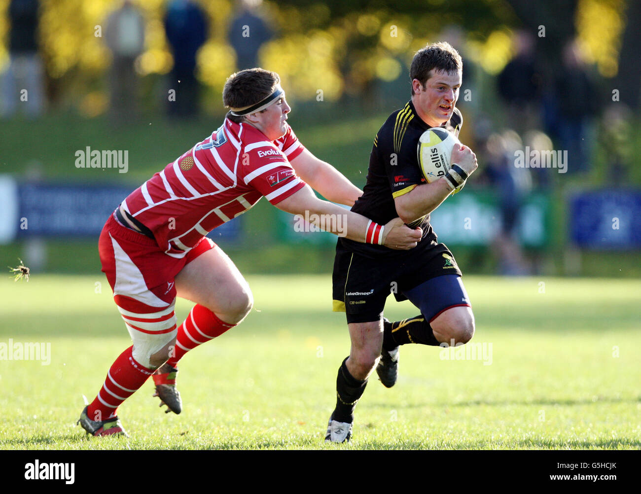 Grant stewart rugby hi-res stock photography and images - Alamy