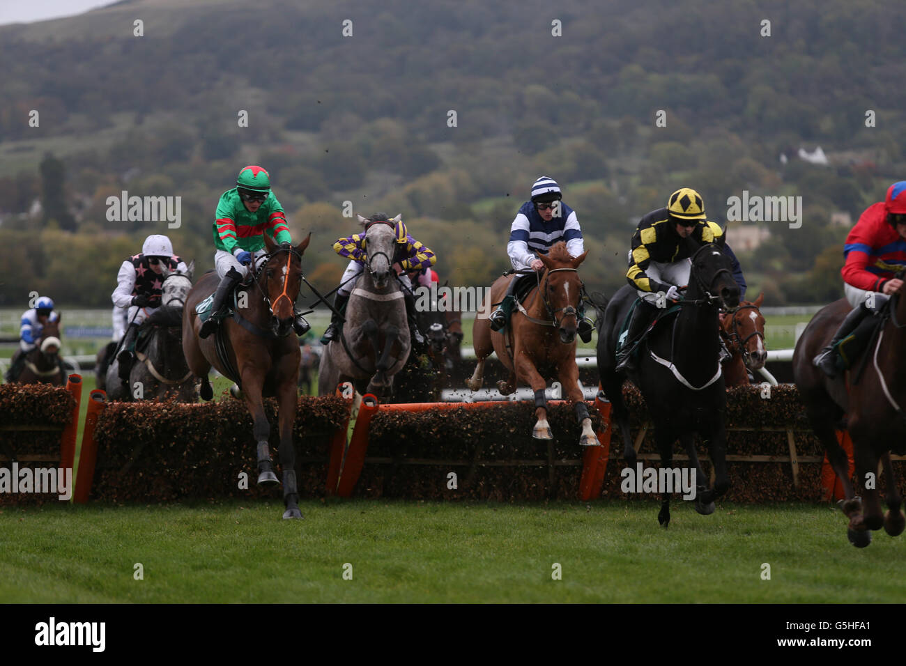 Horse Racing Cheltenham Stock Photo Alamy