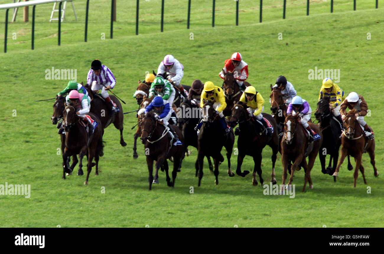 HORSERACING STEWARDS ENQUIRY Stock Photo Alamy
