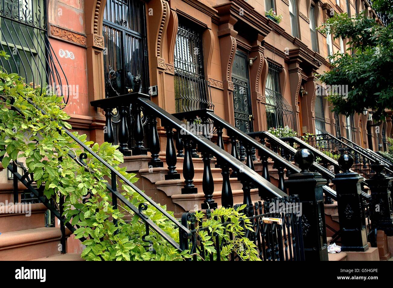 New York City:  Handsome early 20th century brownstones with stoops and balustrades on West 121st Street in Harlem Stock Photo