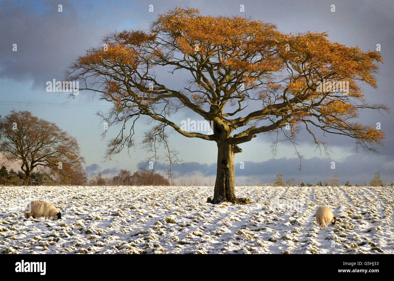 Stirling Weather Britaincollectioncuratedautumn High Resolution Stock Photography and ...