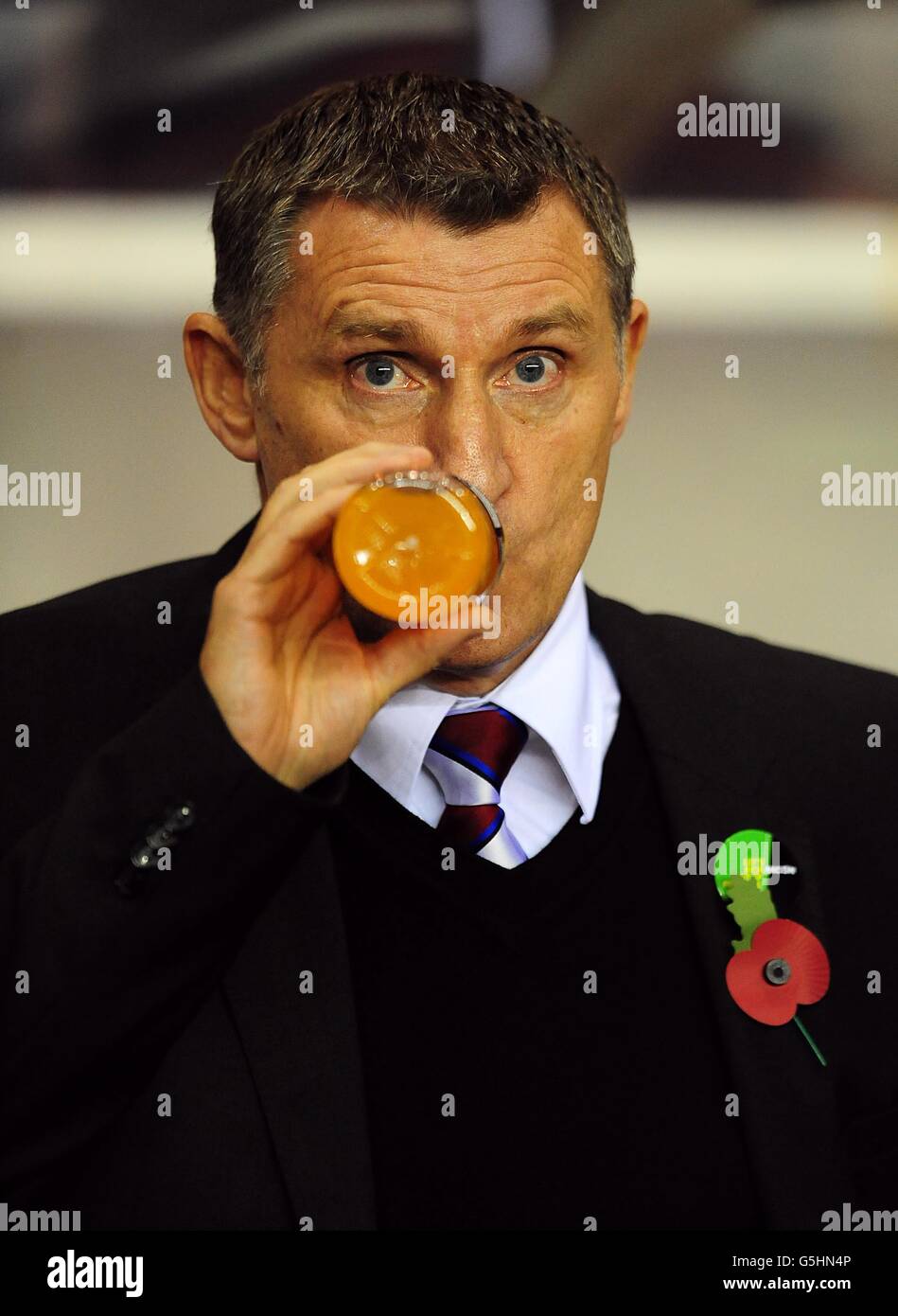 Soccer - Capital One Cup - Fourth Round - Sunderland v Middlesbrough - Stadium of Light. Tony Mowbray, Middlesbrough manager Stock Photo