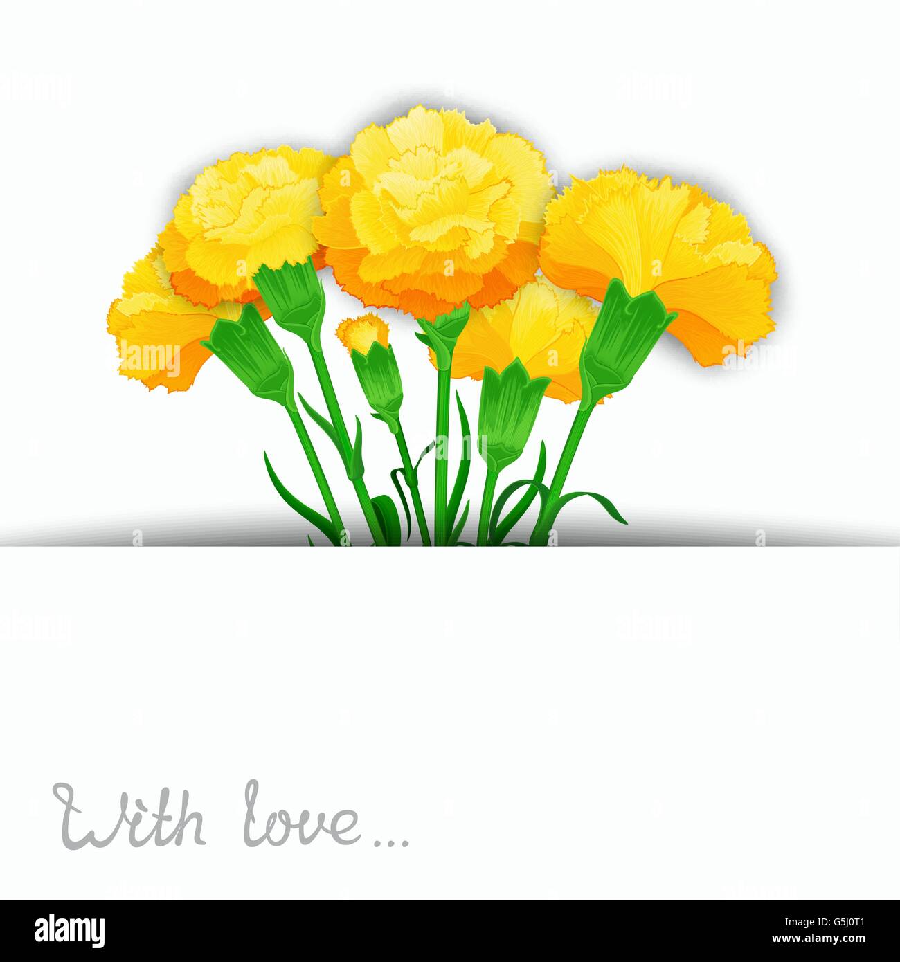 Carnation vector flowers design Stock Vector Image & Art Alamy