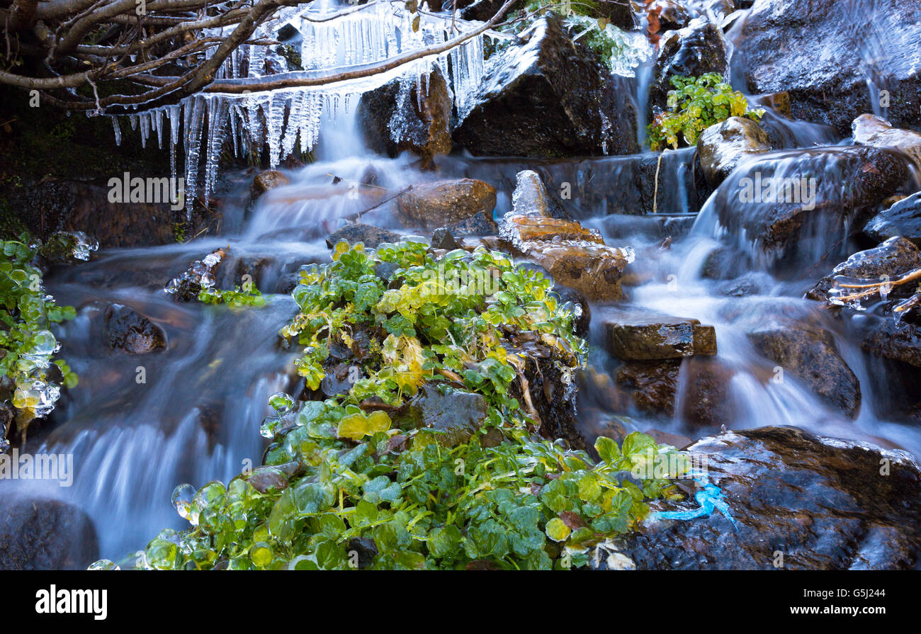 Rapid water flow hi-res stock photography and images - Alamy