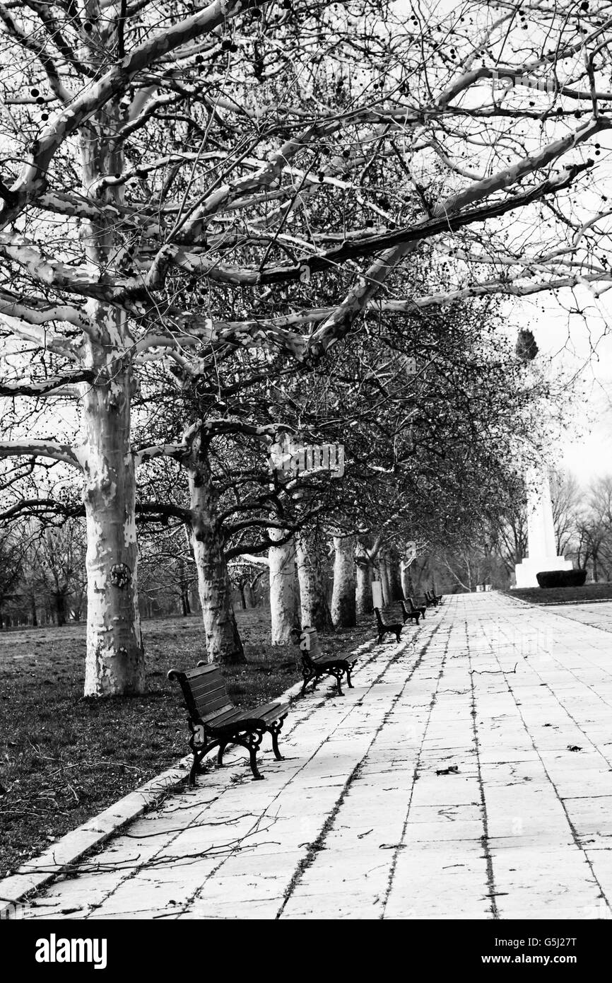 Lush garden landscaped in Black and White Stock Photos & Images - Alamy