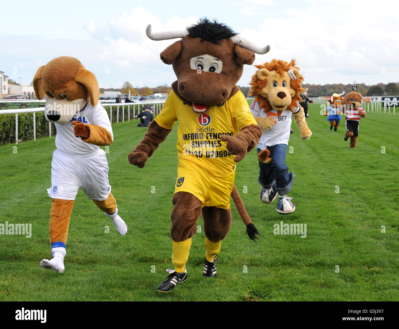 Oxford United mascot Olly The Ox (centre) crosses the line in the ...