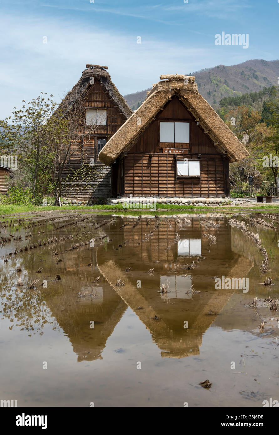 Traditional thatched farmhouses in Ogimachi Folk Village, Hida Shirakawa-go (Shirakawa), Japan Stock Photo